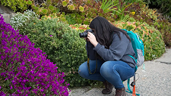 Starl1ght crouched down pointing her camera at a flowery bush to take a photo